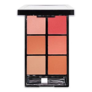 پالت رژ گونه رمانتیک برد مدل 6b v face beauty looks  b